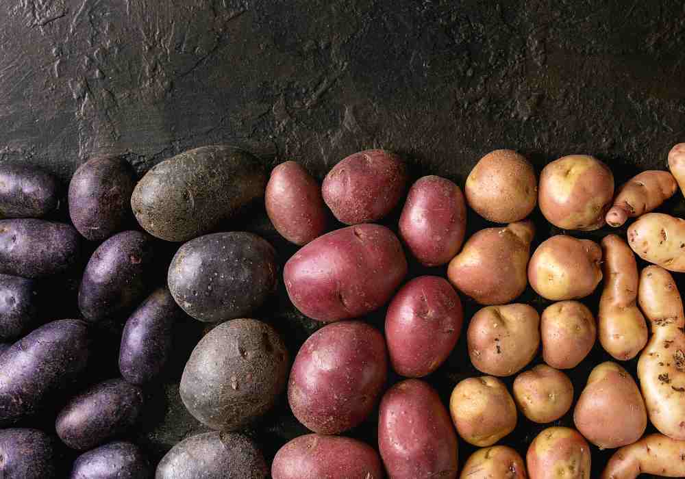 Can You Plant Different Varieties Of Potatoes Together