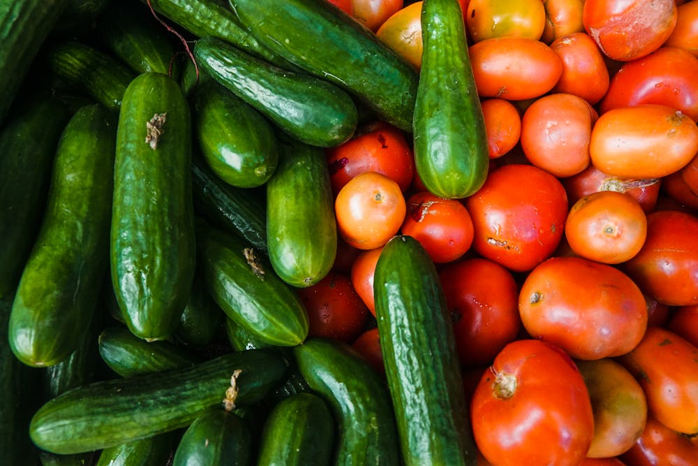 Why Should You Not Plant Cucumbers Near Tomatoes